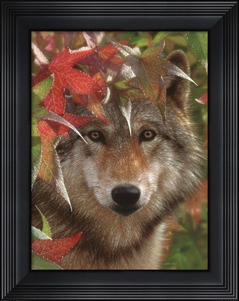 Framed Wolf - Autumn Encounter Print