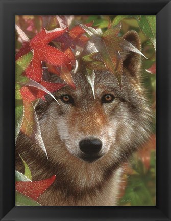 Framed Wolf - Autumn Encounter Print