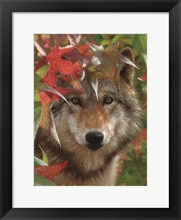 Framed Wolf - Autumn Encounter Print