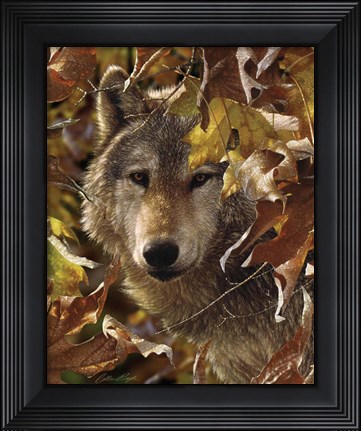 Framed Wolf - Autumn Shadows Print