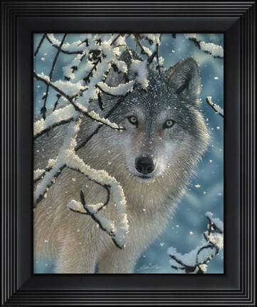 Framed Wolf - Broken Silence Print
