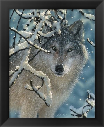 Framed Wolf - Broken Silence Print