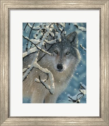 Framed Wolf - Broken Silence Print