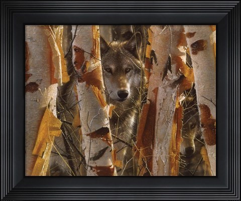 Framed Wolves - The Guardian Print