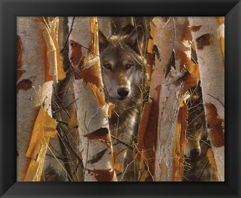 Framed Wolves - The Guardian Print