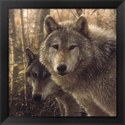 Framed Wolves - Woodland Companions Print