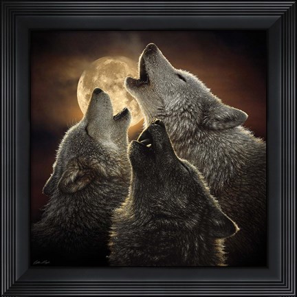 Framed Wolf Trinity Print