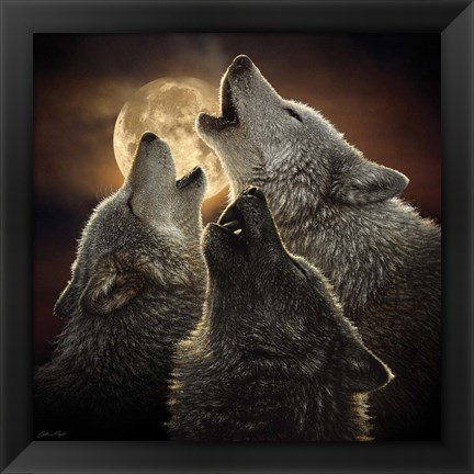 Framed Wolf Trinity Print