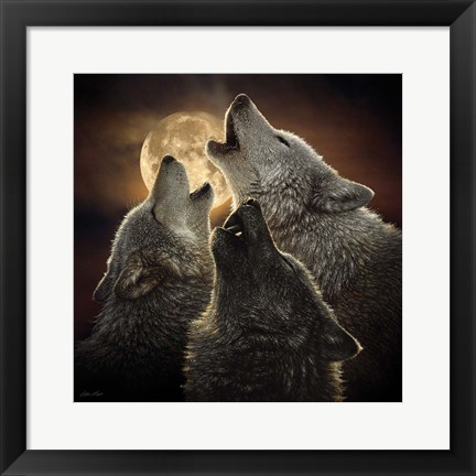 Framed Wolf Trinity Print