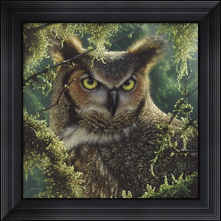 Framed Great Horned Owl - Watching and Waiting Print