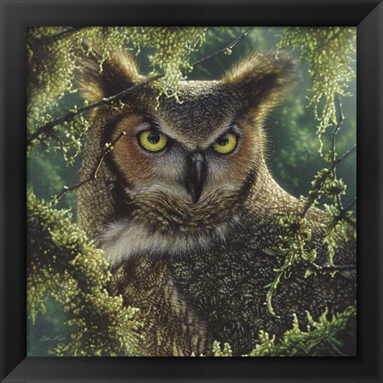 Framed Great Horned Owl - Watching and Waiting Print