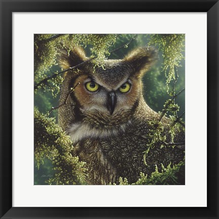 Framed Great Horned Owl - Watching and Waiting Print