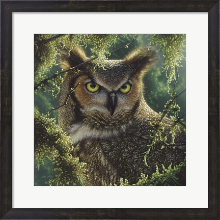 Framed Great Horned Owl - Watching and Waiting Print