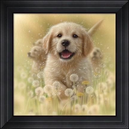 Framed Golden Retriever Puppy - Dandelions - Square Print