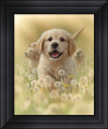 Framed Golden Retriever Puppy - Dandelions Print