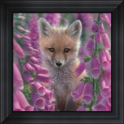 Framed Red Fox - Foxgloves - Square Print