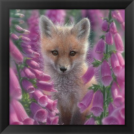 Framed Red Fox - Foxgloves - Square Print