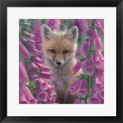 Framed Red Fox - Foxgloves - Square Print