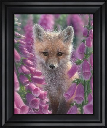 Framed Red Fox - Foxgloves Print