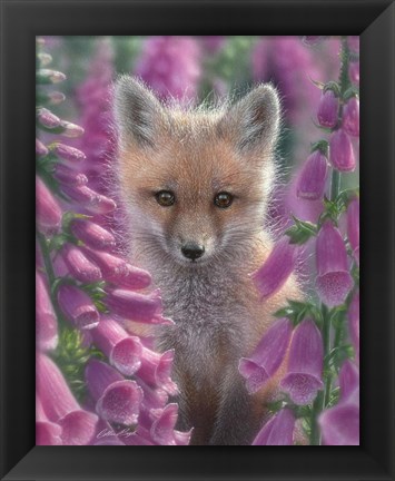 Framed Red Fox - Foxgloves Print