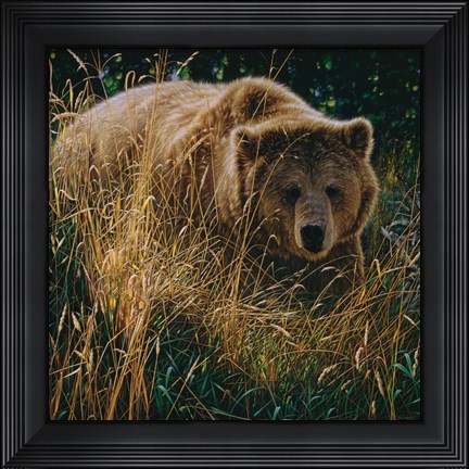 Framed Brown Bear - Crossing Paths Print