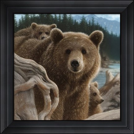 Framed Brown Bears - Backpacking - Square Print
