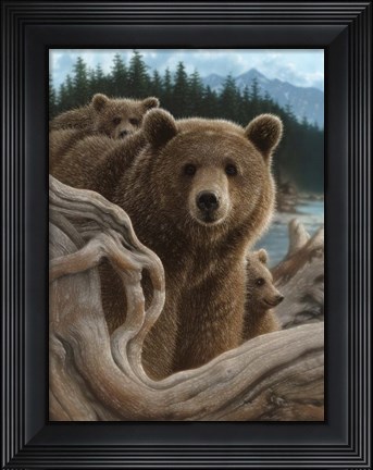 Framed Brown Bears - Backpacking Print