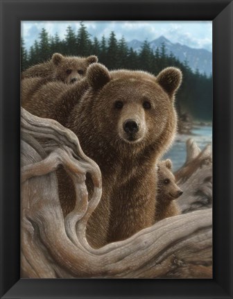 Framed Brown Bears - Backpacking Print