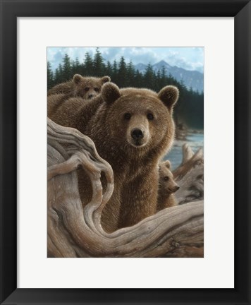 Framed Brown Bears - Backpacking Print