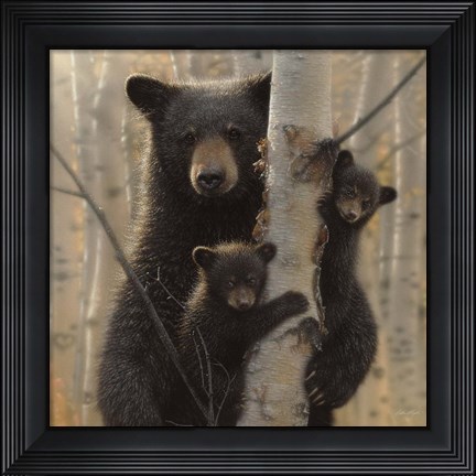 Framed Black Bear Mother and Cubs - Mama Bear Print