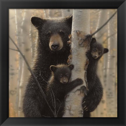 Framed Black Bear Mother and Cubs - Mama Bear Print