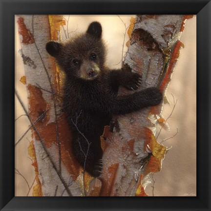 Framed Curious Cub I Print