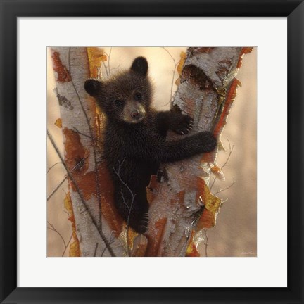 Framed Curious Cub I Print