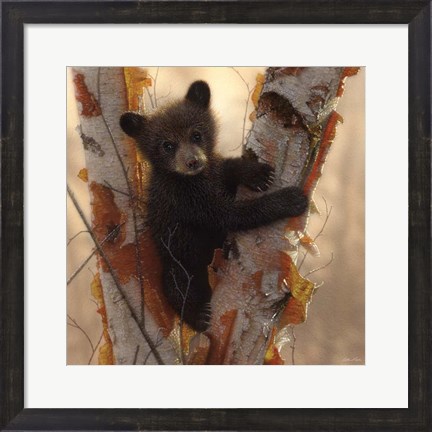 Framed Curious Cub I Print