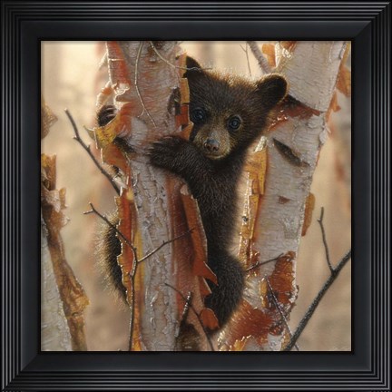 Framed Curious Cub II Print