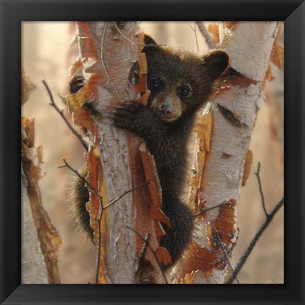 Framed Curious Cub II Print