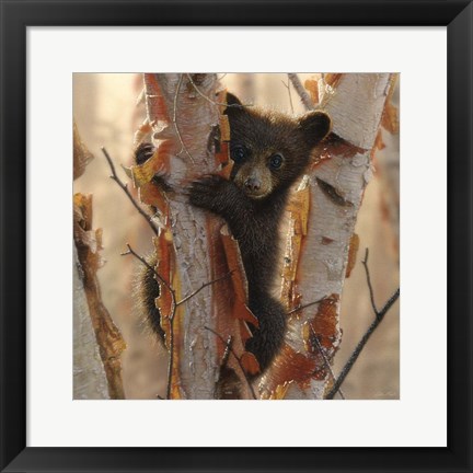 Framed Curious Cub II Print