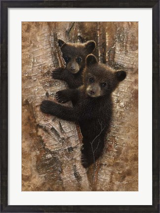 Framed Curious Cubs Print
