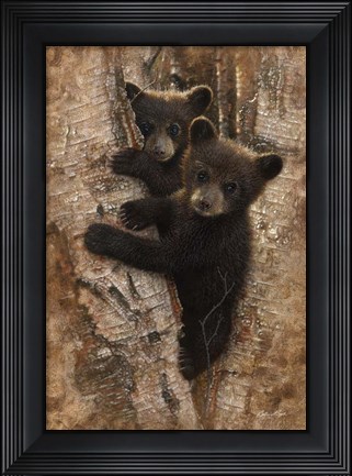 Framed Curious Cubs Print