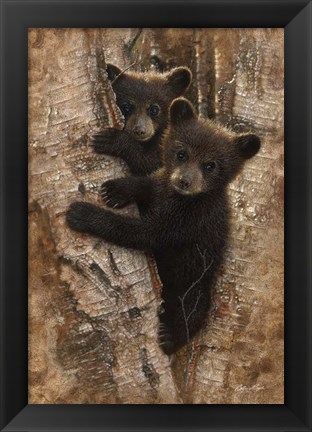 Framed Curious Cubs Print