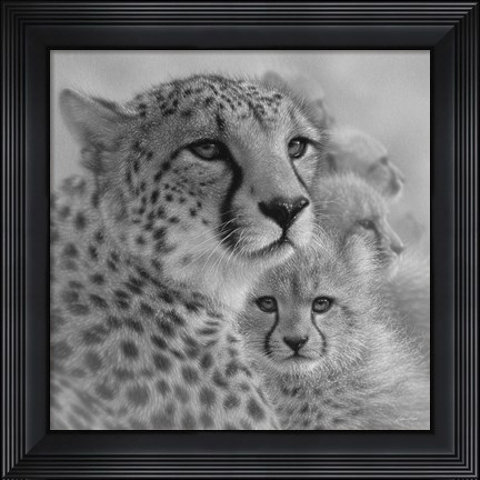 Framed Cheetah Mother and Cubs - Mother&#39;s Love - Square - B&amp;W Print