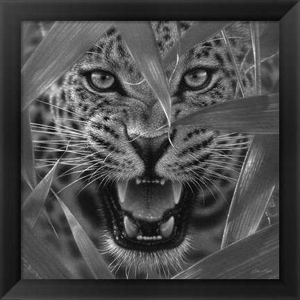 Framed Jaguar - Ambush - B&amp;W Print