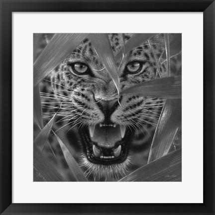 Framed Jaguar - Ambush - B&amp;W Print