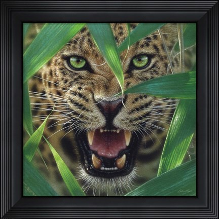 Framed Jaguar - Ambush Print