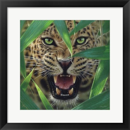 Framed Jaguar - Ambush Print