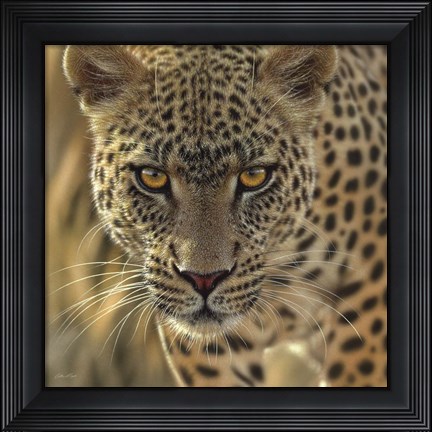 Framed Leopard - On the Prowl - Square Print