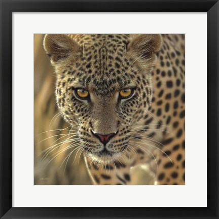 Framed Leopard - On the Prowl - Square Print