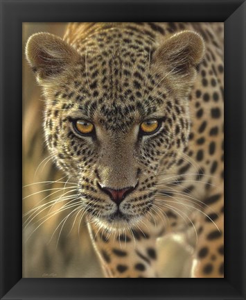 Framed Leopard - On the Prowl Print