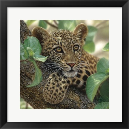 Framed Leopard Cub - Tree Hugger Print