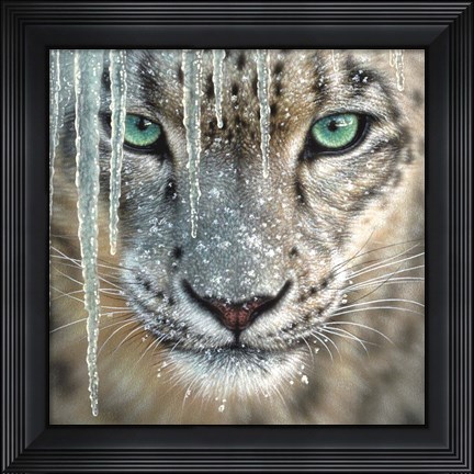 Framed Snow Leopard - Blue Ice Print